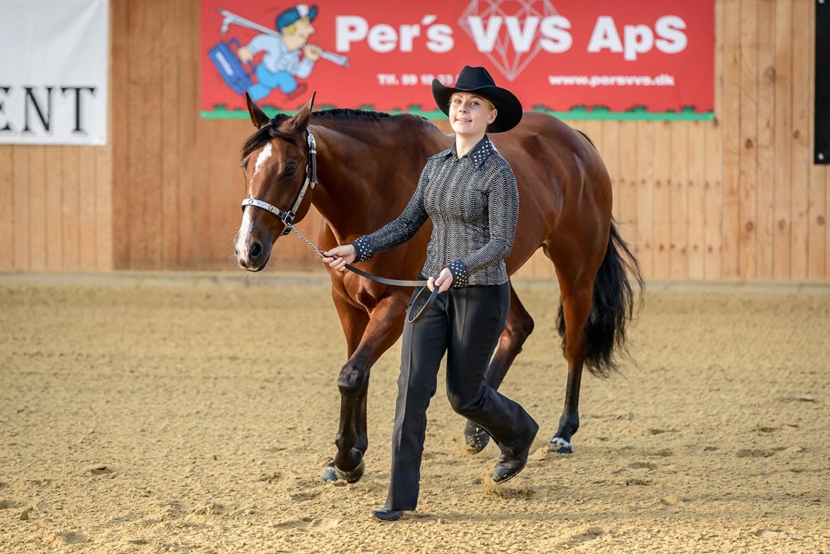 Quarter Tag This Chic - DKQHA Danmarksmesterskaber 2015 - showmanship. billede 1