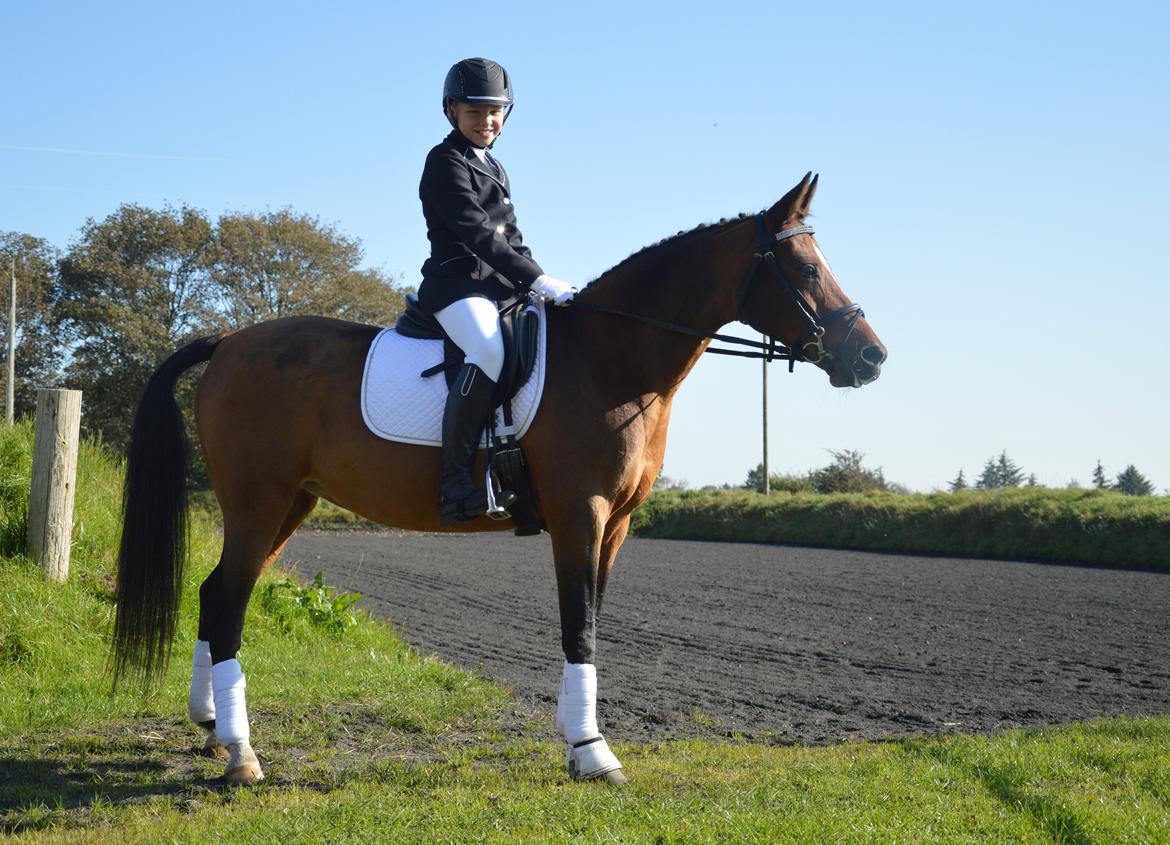 Anden særlig race Cassiopeia billede 7