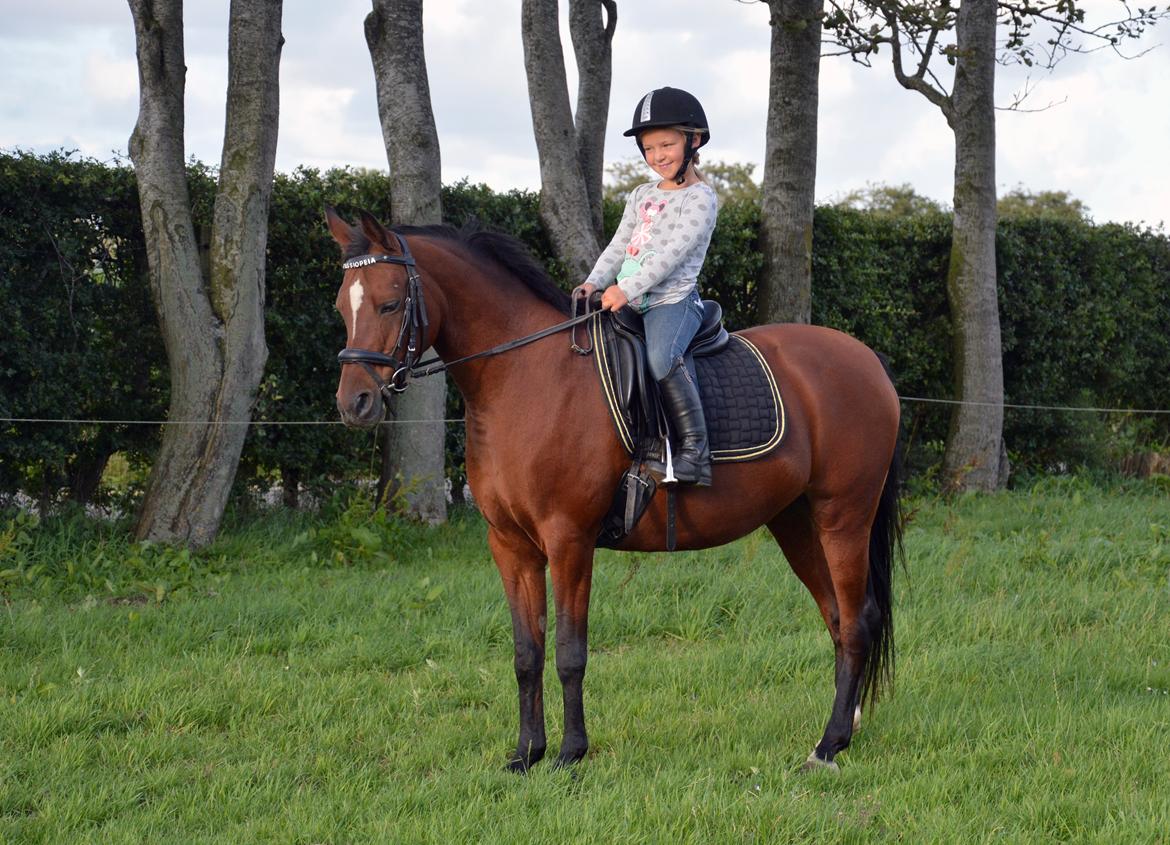 Anden særlig race Cassiopeia billede 20