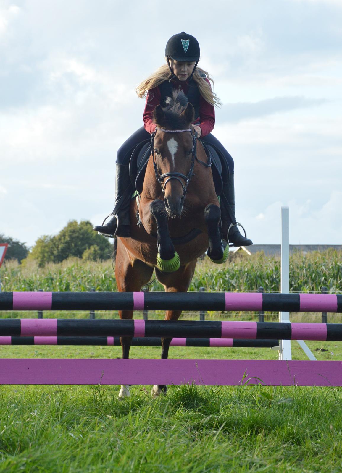 Anden særlig race Cassiopeia billede 10