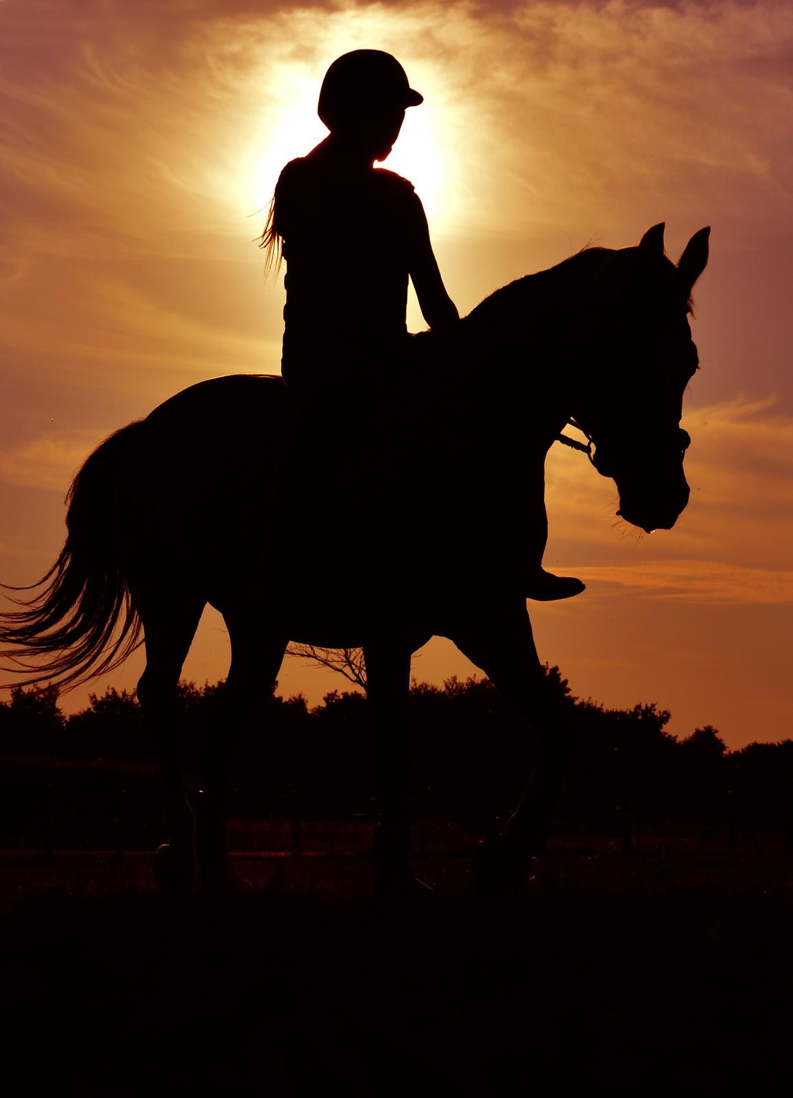 Anden særlig race Cassiopeia billede 8