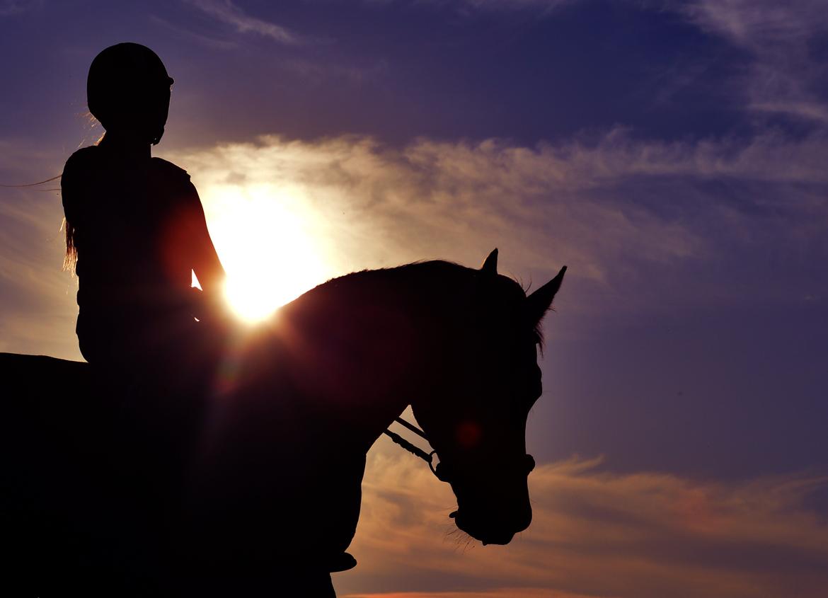 Anden særlig race Cassiopeia billede 22