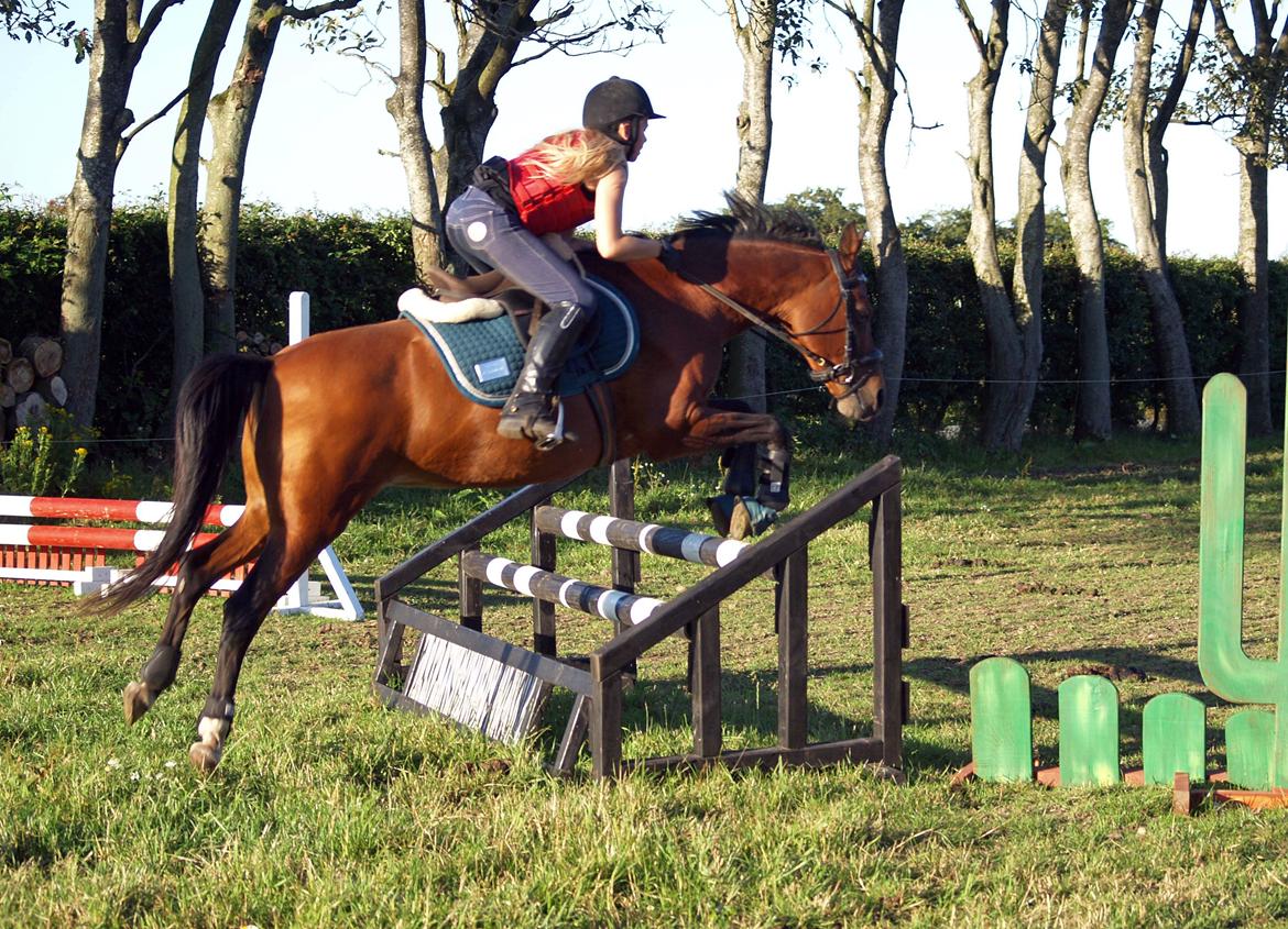 Anden særlig race Cassiopeia billede 17