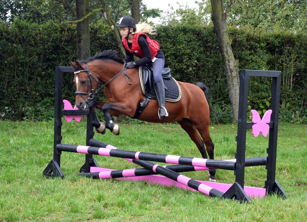 Anden særlig race Cassiopeia billede 14