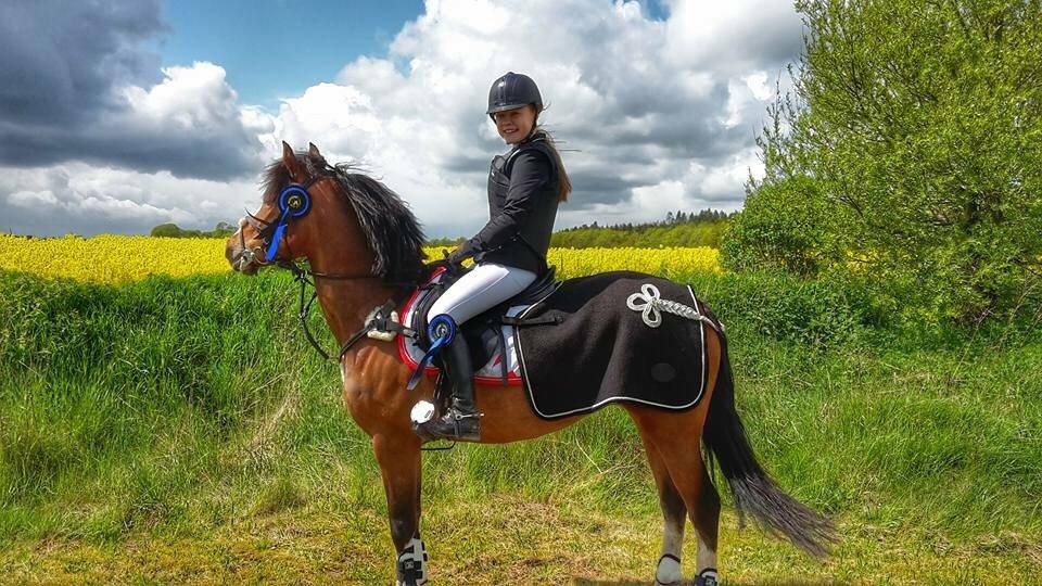 DSP Fjordglimt's afrodite - 2x2. pladser i LC og LB1*  billede 12