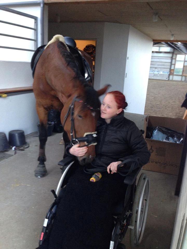 Frederiksborg Nytoftgaards Anastacia (Baby) billede 21