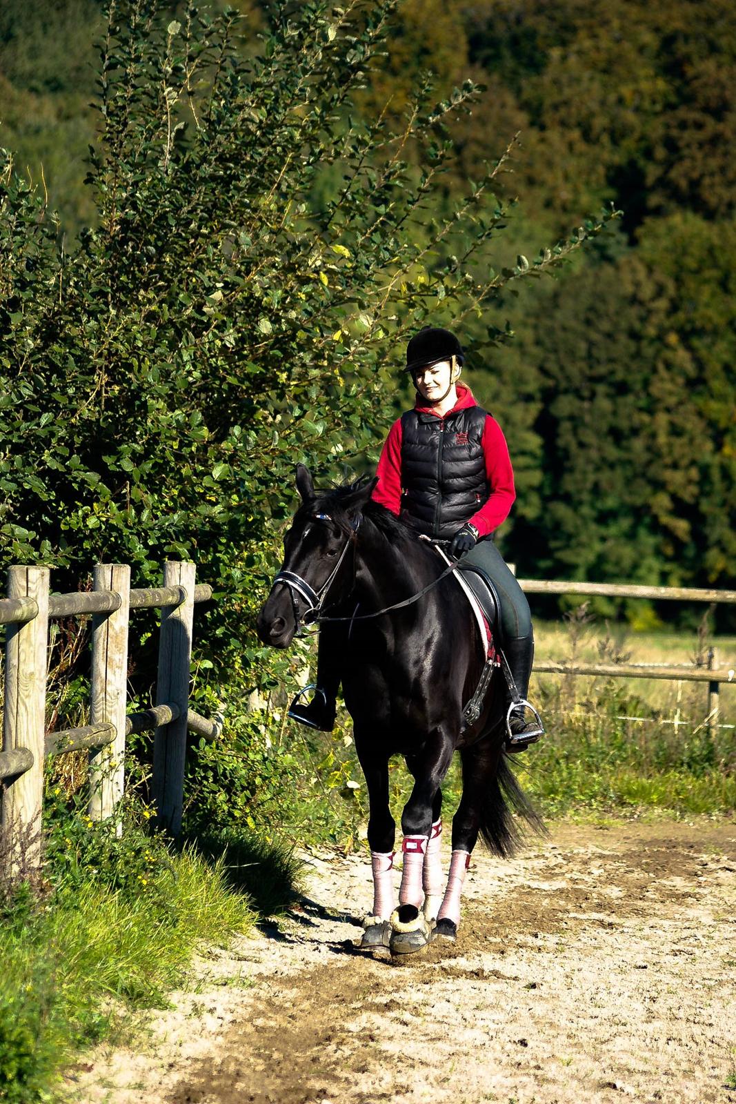 Trakehner | Linduc af Romeo billede 7