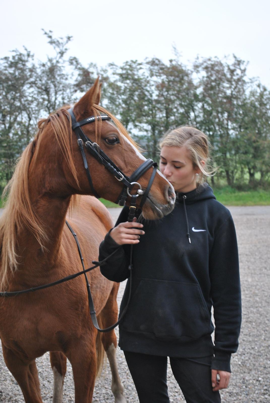 DSP Djuska A Egelykken - 05.10.2015 billede 17