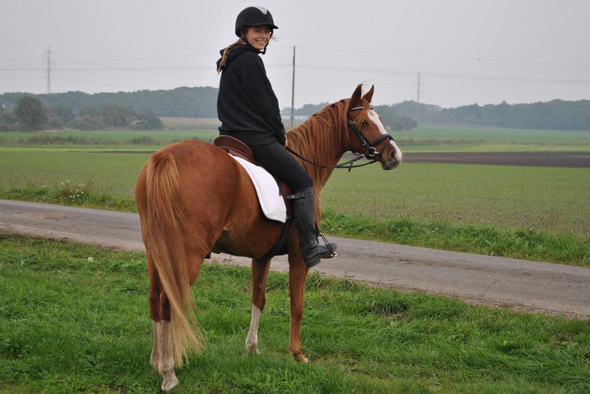 DSP Djuska A Egelykken - 05.10.2015 billede 1