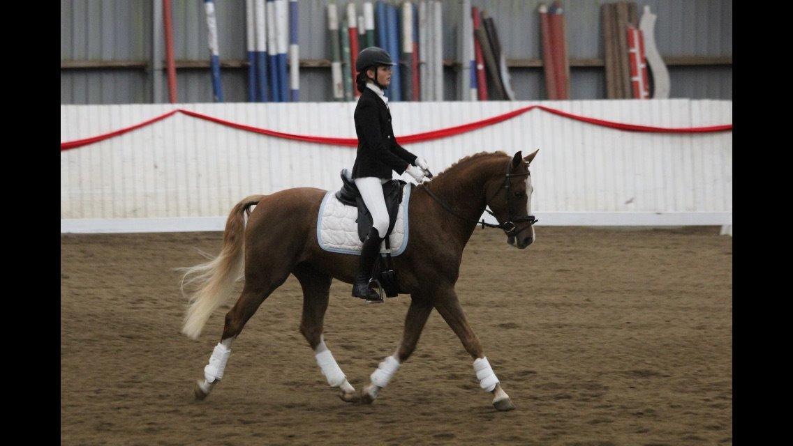 DSP Primartell  - Prima til hans 2. stævne på SIR billede 10