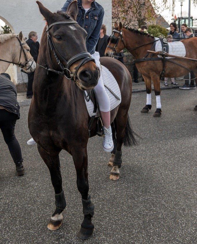 New Forest Krondalens dropan [Tidl. Part] - Min konfirmation 2015 billede 1