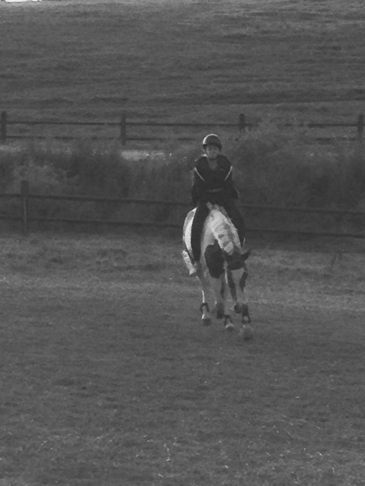 Pinto Lushira Højgård (Lusi) - Savner hende så fandens meget.. billede 13