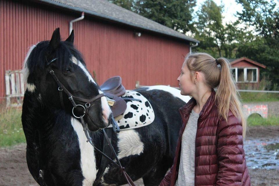 Tinker Charmer - Charmer og Jeg.  billede 3