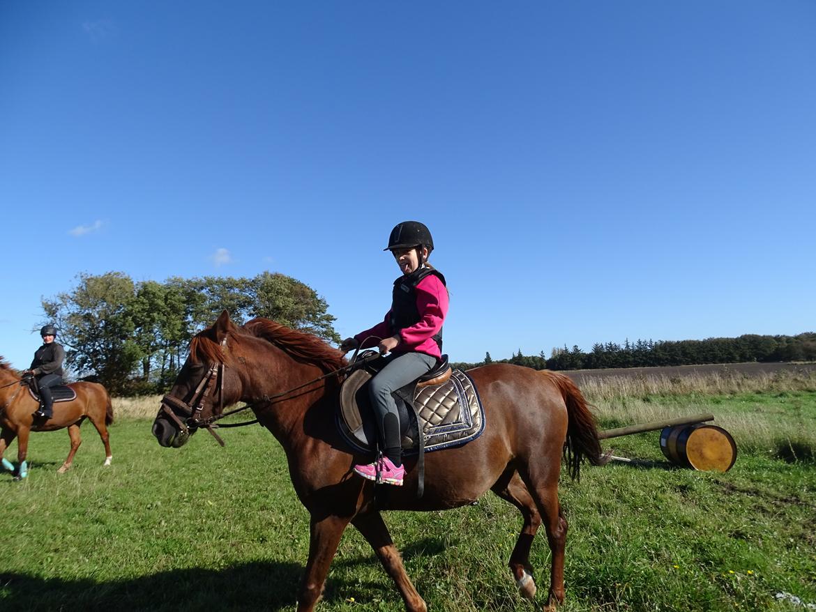 Anden særlig race Fiona billede 5