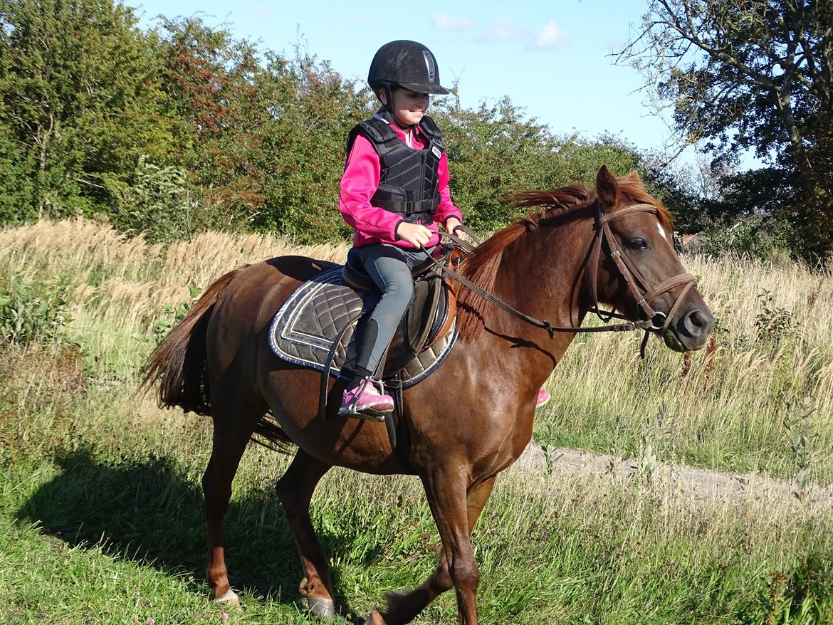 Anden særlig race Fiona billede 4