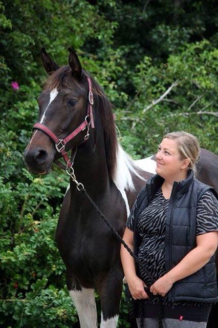 Pinto Løvegaardens Isobel Wito - Min smukke Iso billede 14