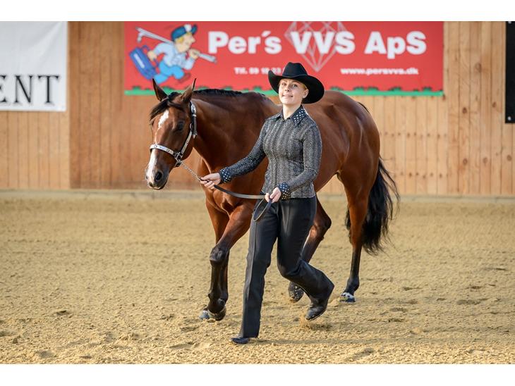 {{currentPhoto.altText}} billede {{currentPhoto.number}}