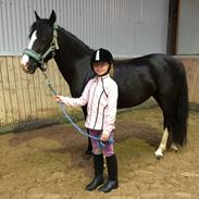 Anden særlig race Blue eye´d girl