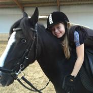 Anden særlig race Blue eye´d girl