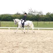 Anden særlig race **Julius**