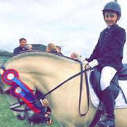 Anden særlig race Silver Boy