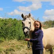 Anden særlig race Silver Boy