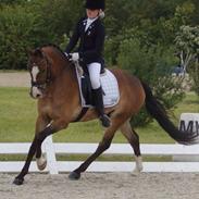 Anden særlig race Kasper - A-pony! <3