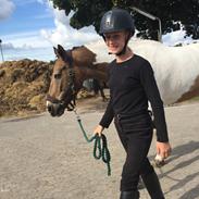 Pinto Royal kasminas tiggi