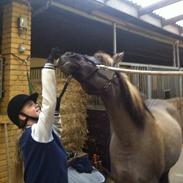 Anden særlig race Bertha