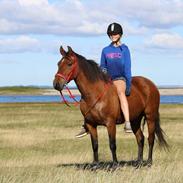 Anden særlig race Stald Poppels Tanne