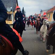 Anden særlig race Pento