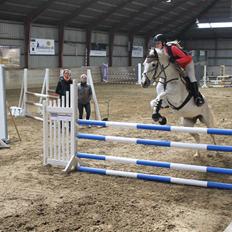 Irsk Sportspony Lady jump