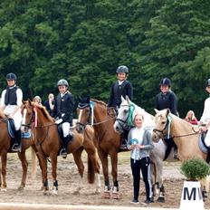 Tysk Oldenburger Lifestyle