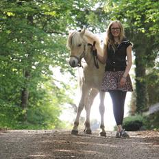 Fjordhest Hlif Godthaab