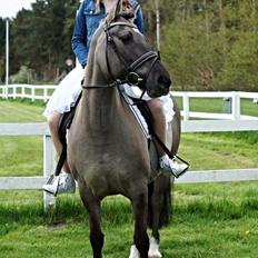 Anden særlig race Bertha