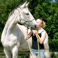Anden særlig race Gaystar Clinton - solgt