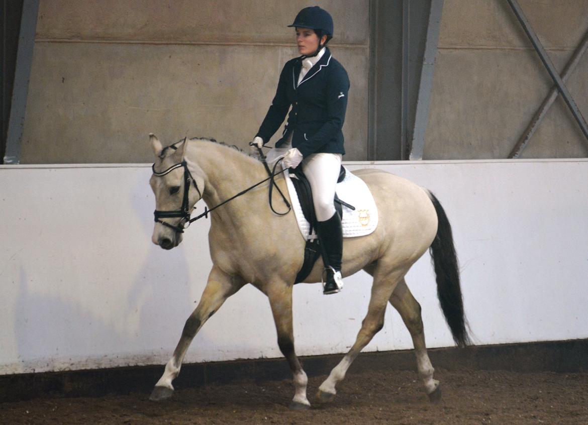 DSP Lykkebo Comet billede 24