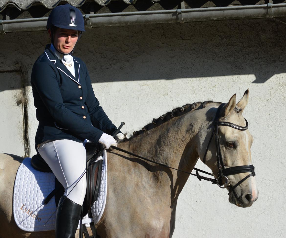 DSP Lykkebo Comet billede 36