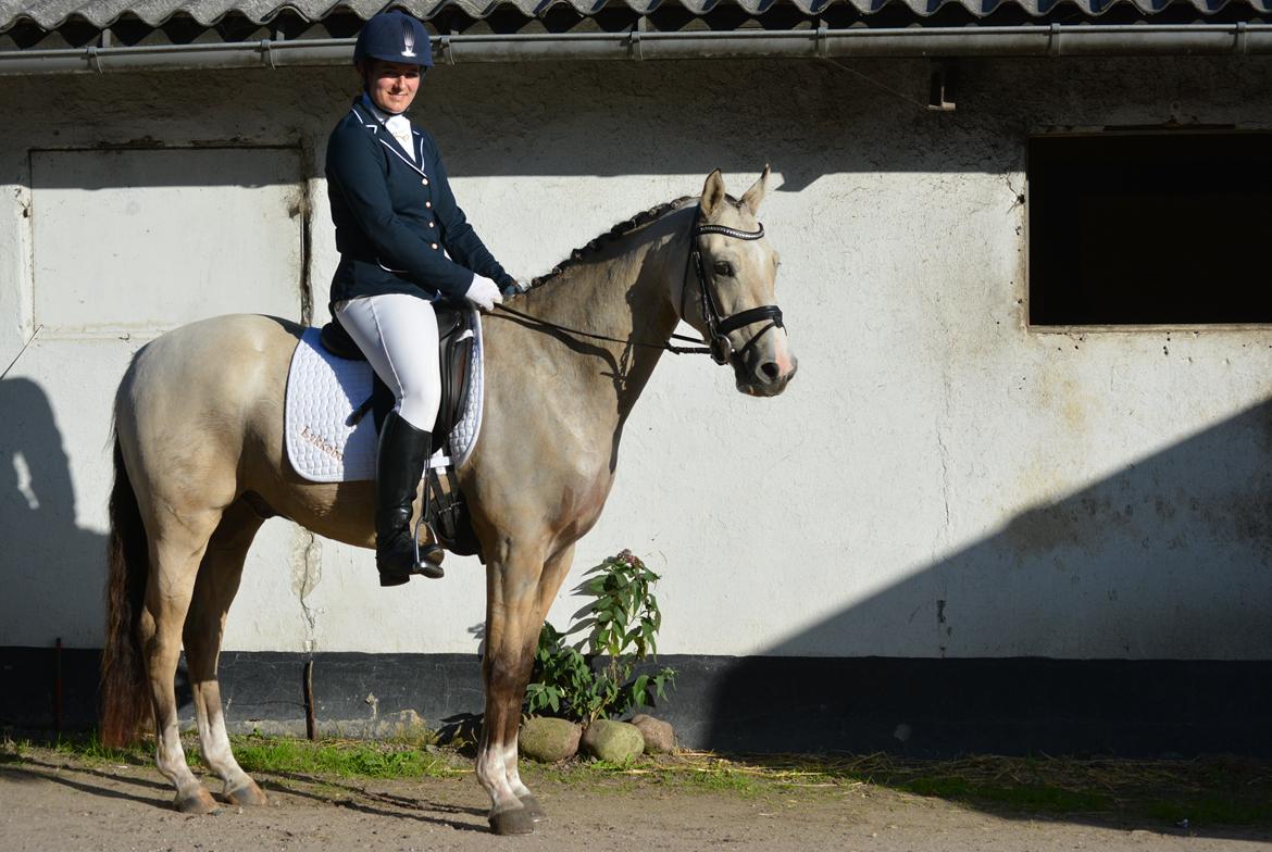 DSP Lykkebo Comet billede 39