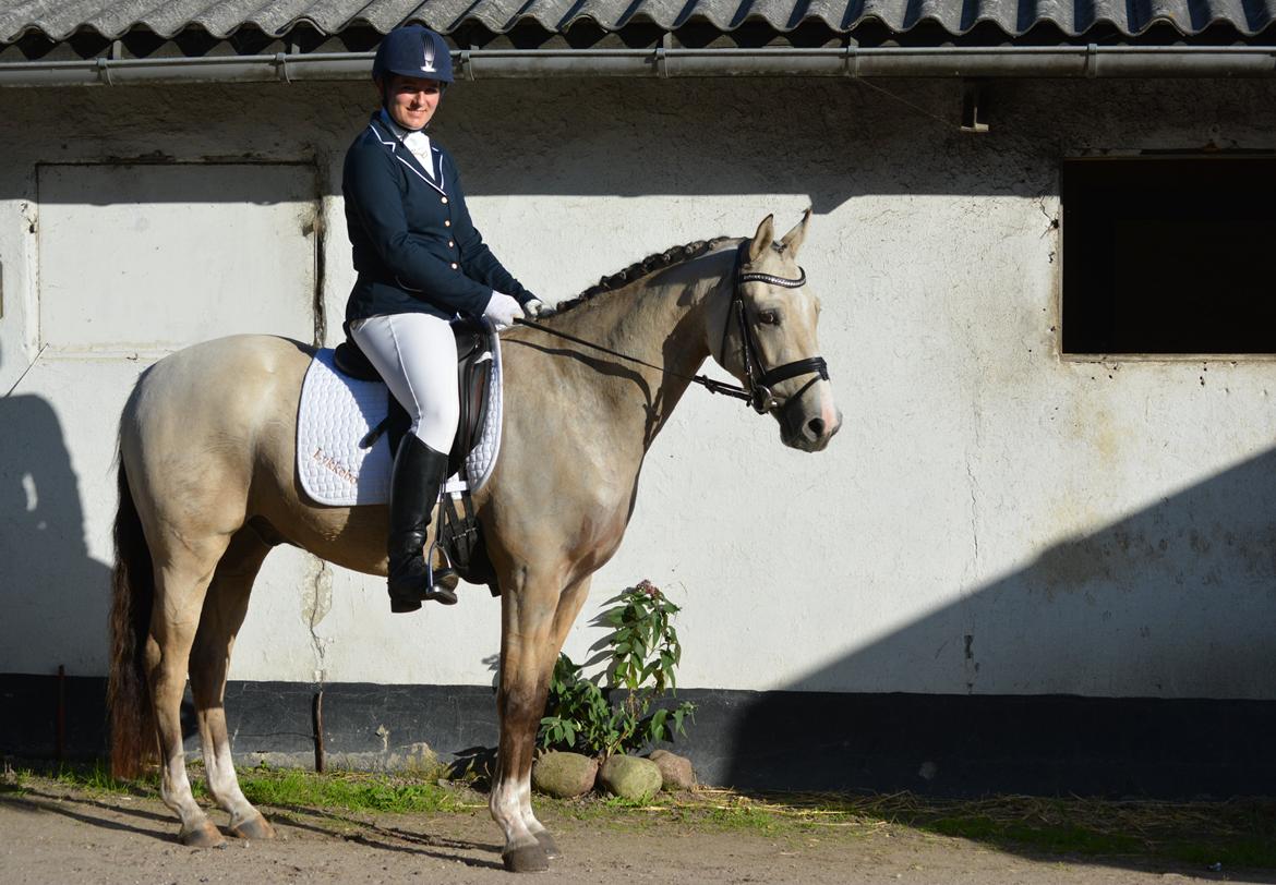 DSP Lykkebo Comet billede 40