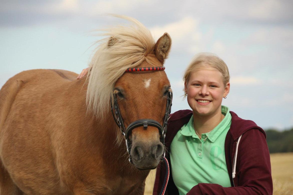 Shetlænder Dotzauers Frederik billede 15