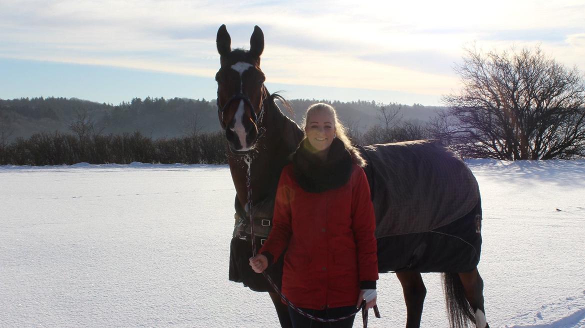 Anden særlig race Nico billede 18