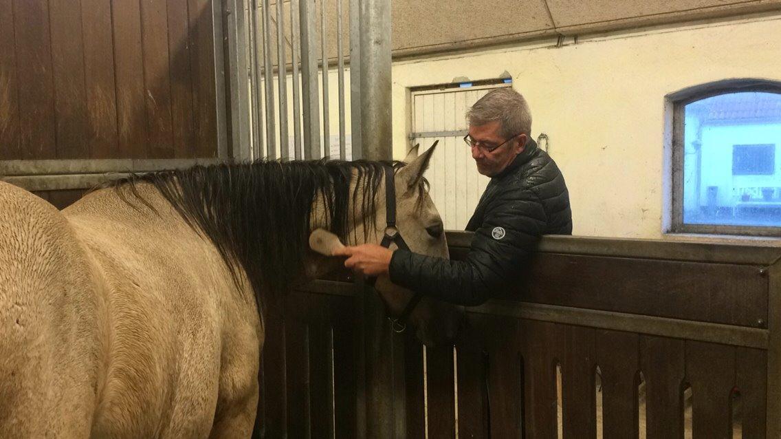 Anden særlig race | Sofus billede 35