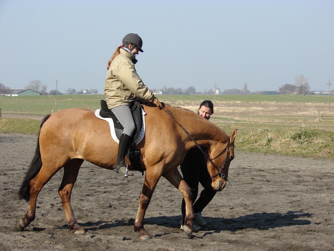 Anden særlig race Callime (Død 2010) billede 30