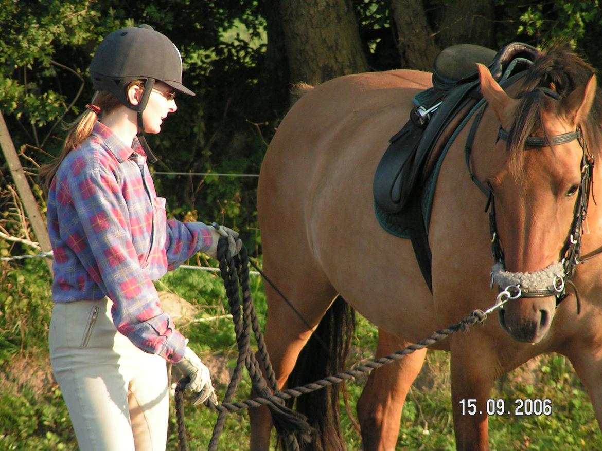 Anden særlig race Callime (Død 2010) billede 33