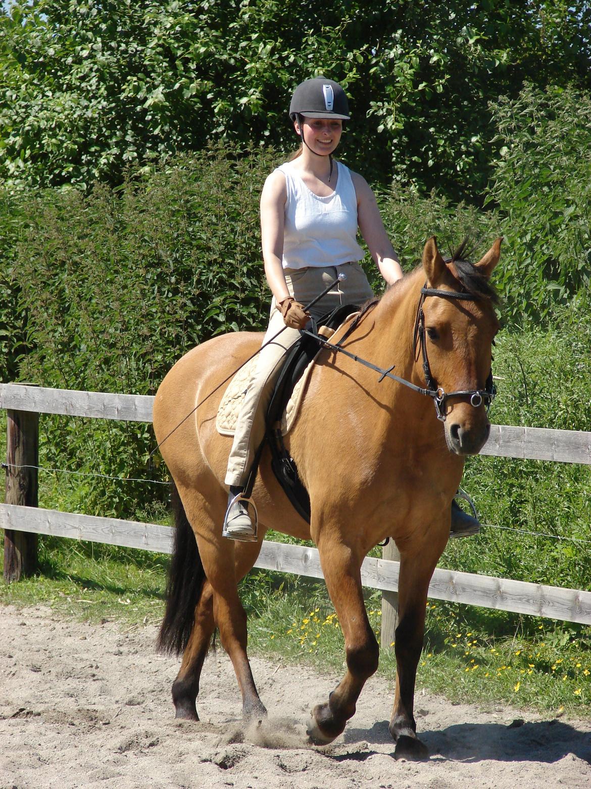 Anden særlig race Callime (Død 2010) billede 26