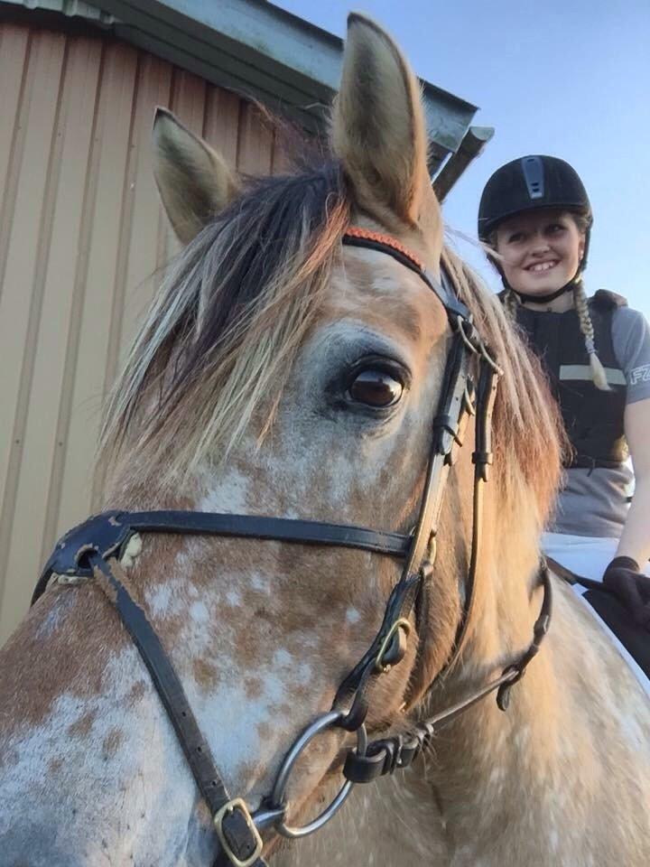 Anden særlig race Fjotte - Et af mine ynglingsbilleder. <3 Juli 2015 billede 5