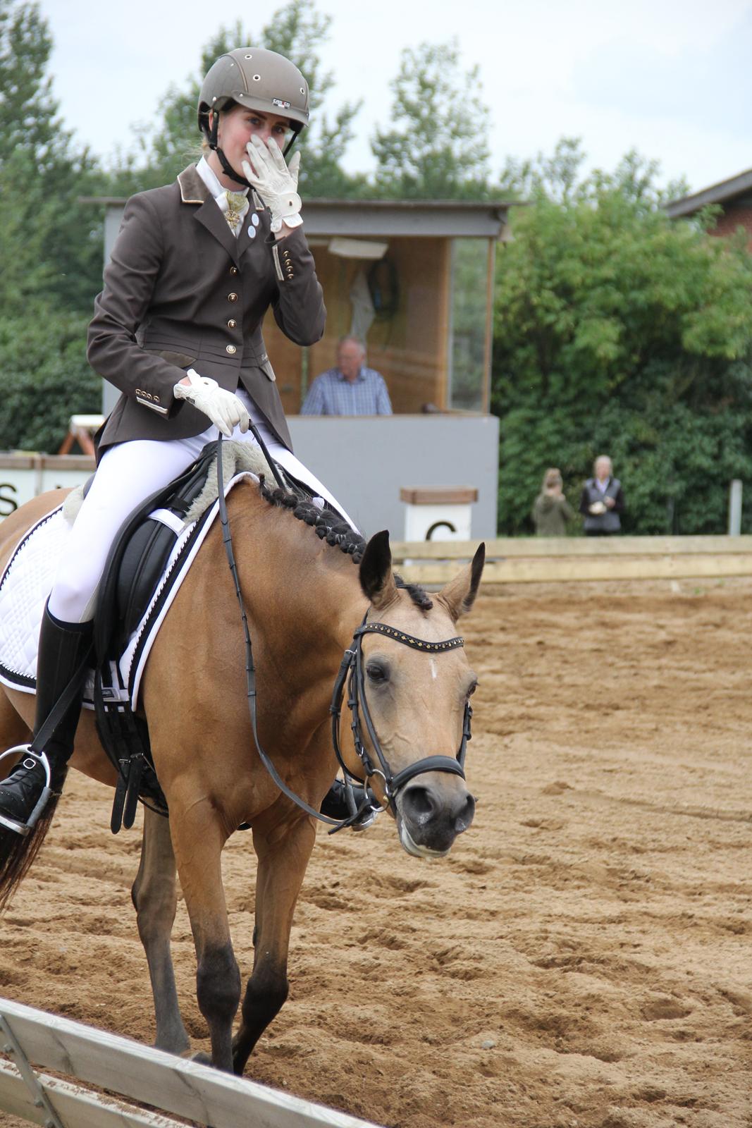 DSP Anemone Wales  billede 4