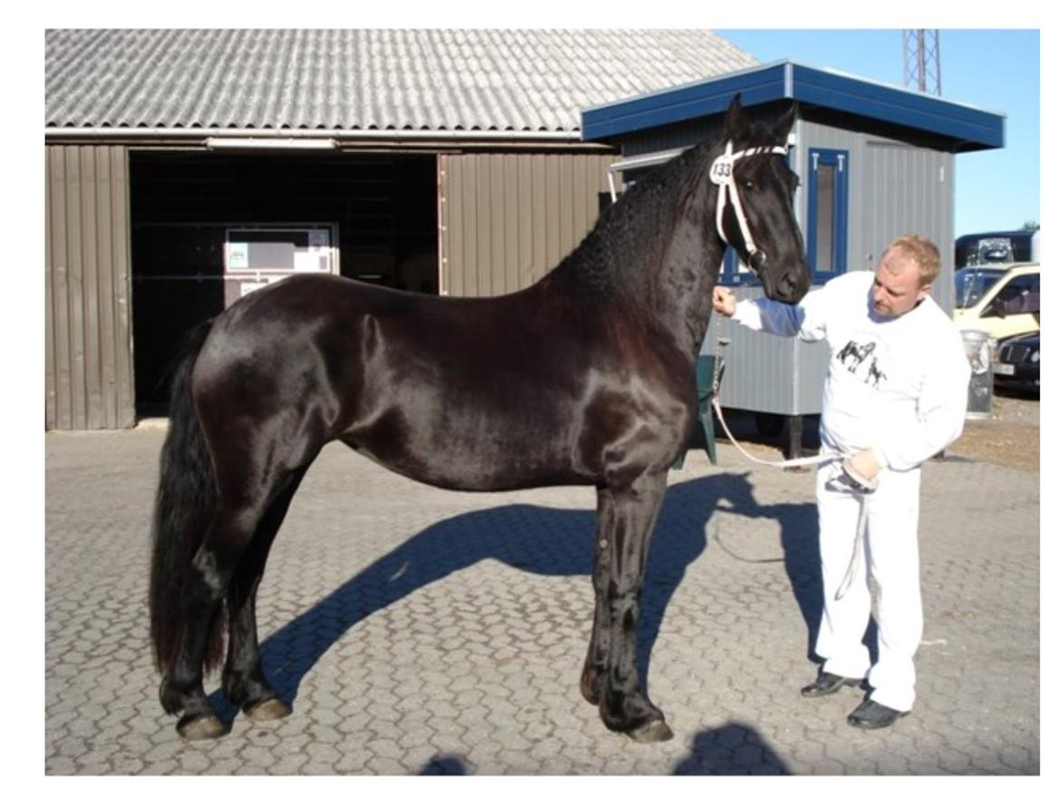 Frieser Mira of paradise billede 1