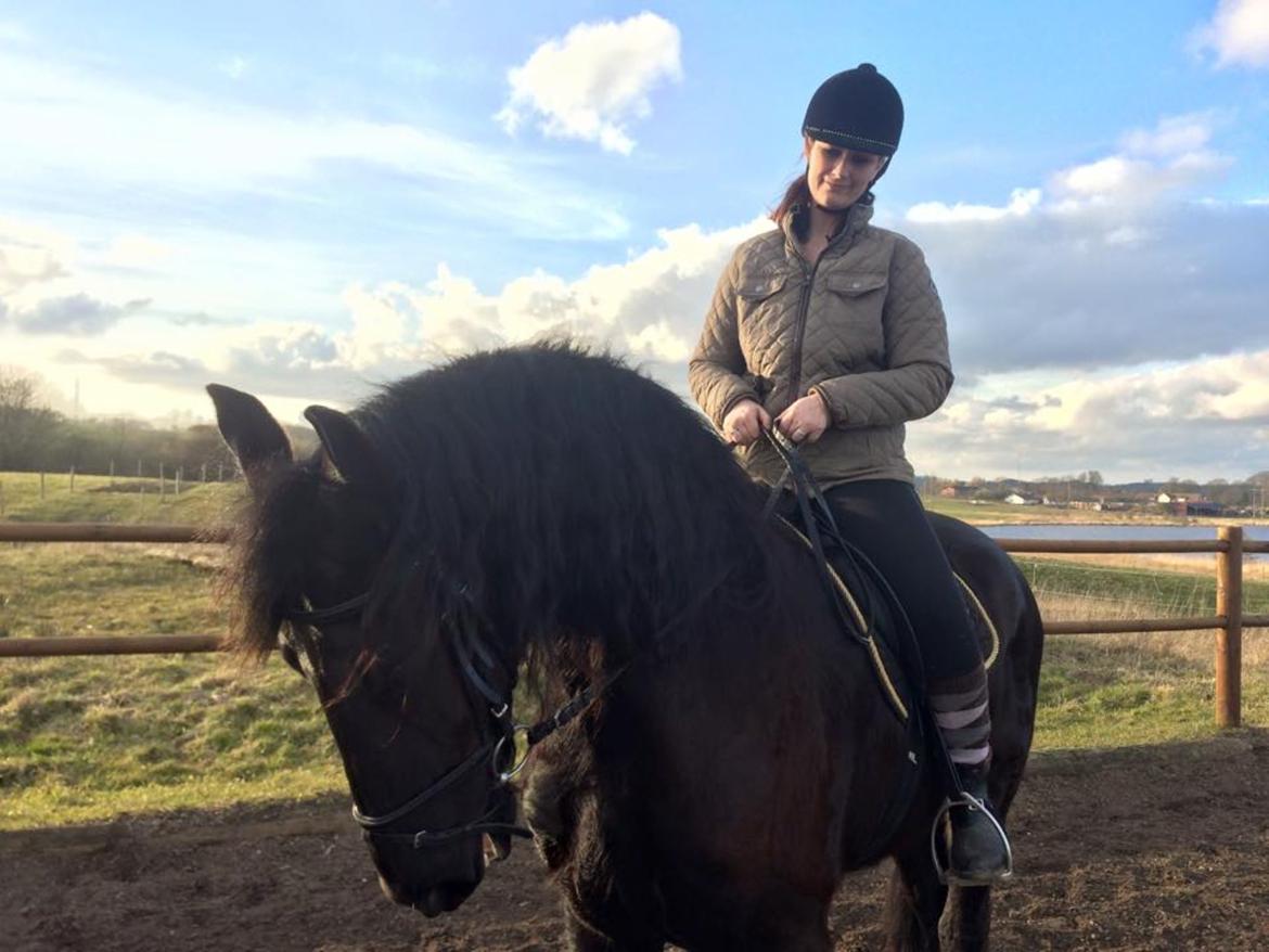 Frieser Mira of paradise billede 5